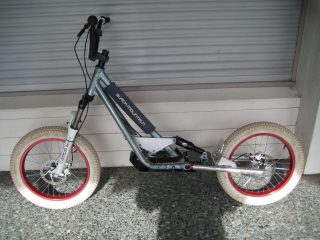 Trott DH Black mountain