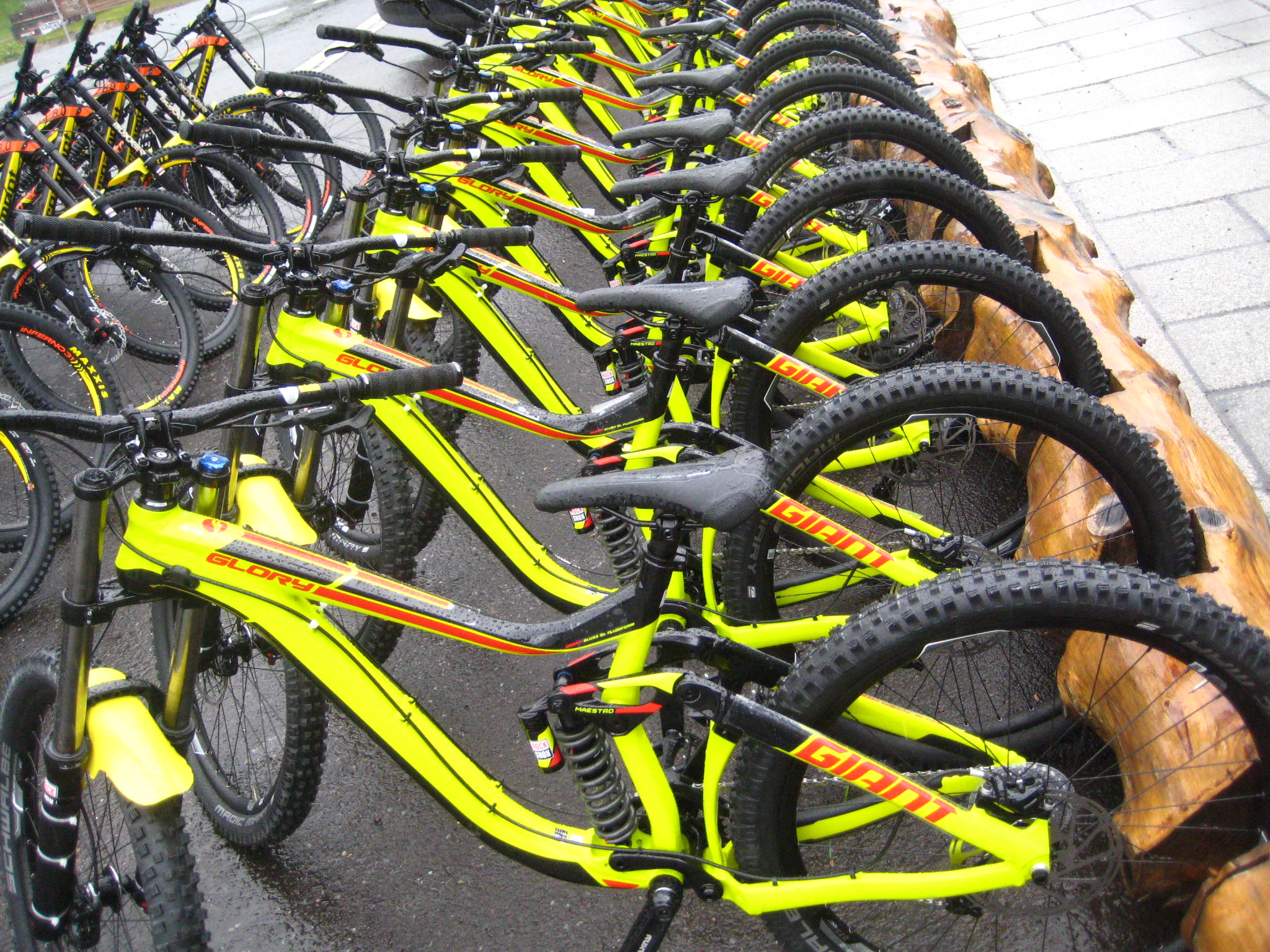 Parc VTT de descente à la location 2016