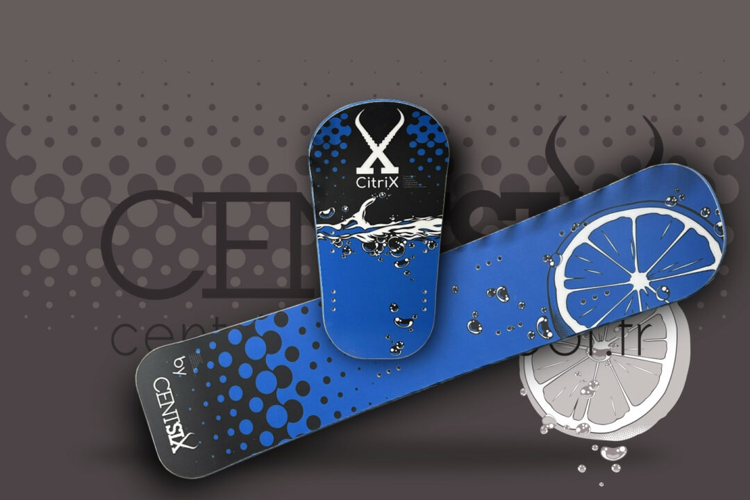 Board snowscoot